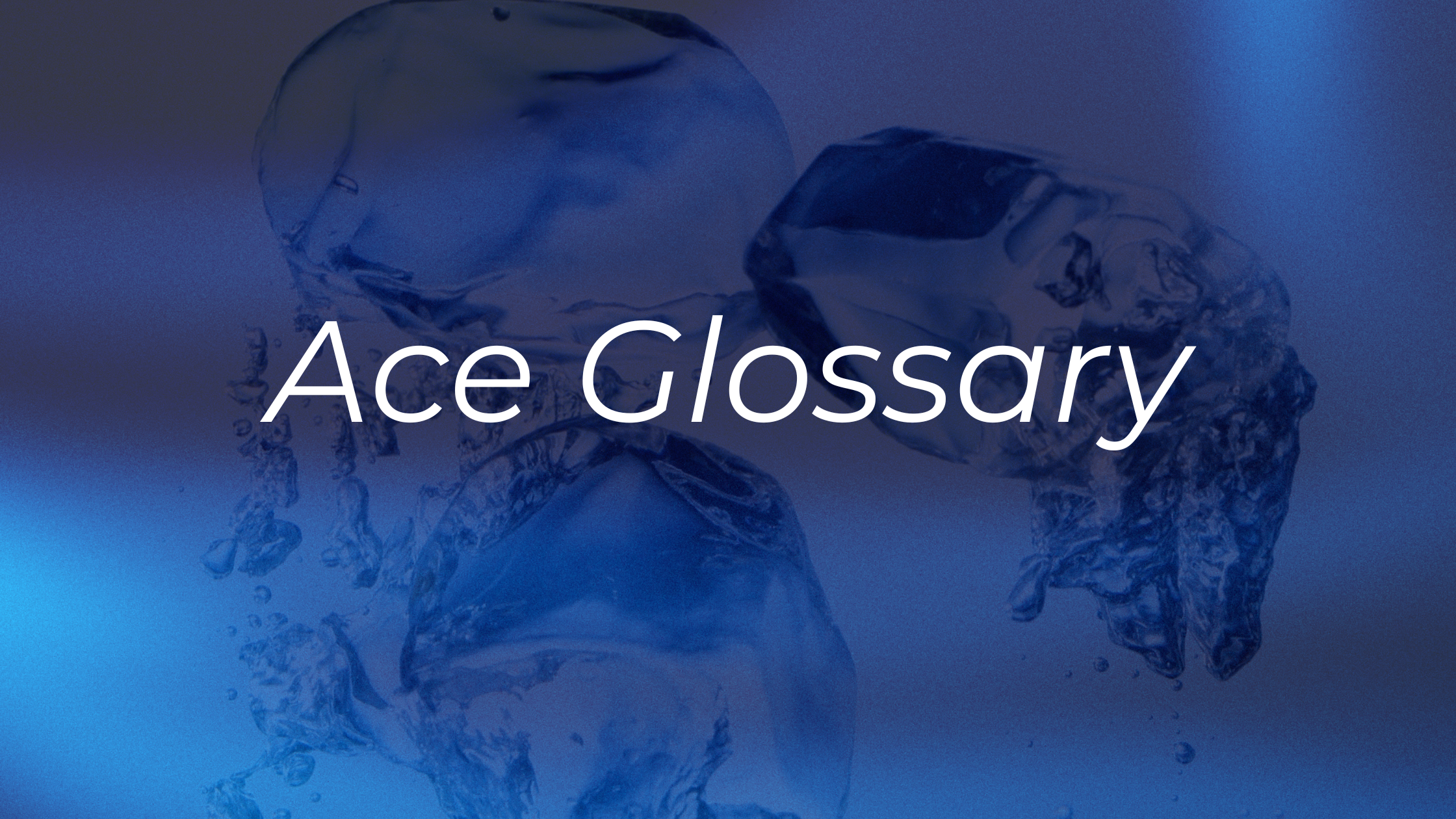 Ace Blog Banners p7
